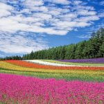サマータイム、夏時間てナニ?