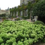 南フランス カルカソンヌ【6月の気候·気温·服装·イベント情報】